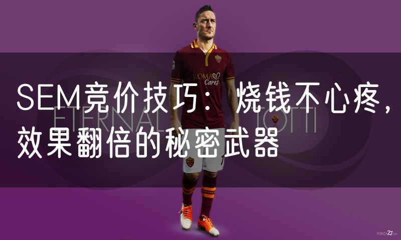 SEM竞价技巧：烧钱不心疼，效果翻倍的秘密武器(14)