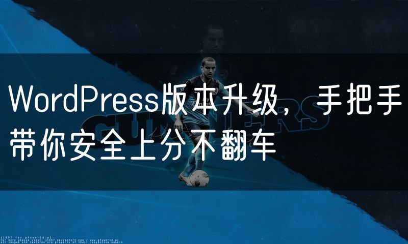 WordPress版本升级，手把手带你安全上分不翻车