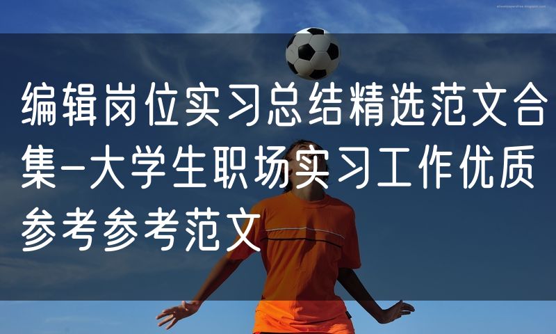 编辑岗位实习总结精选范文合集-大学生职场实习工作优质参考参考范文