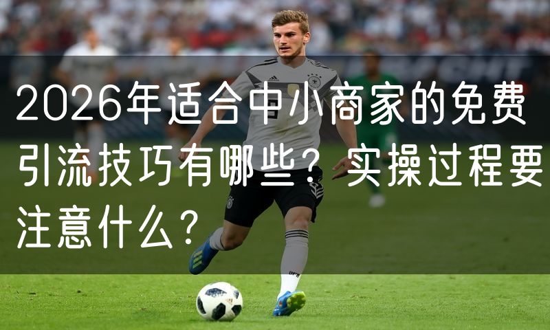 2026年适合中小商家的免费引流技巧有哪些?实操过程要注意什么?