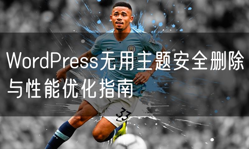 WordPress无用主题安全删除与性能优化指南