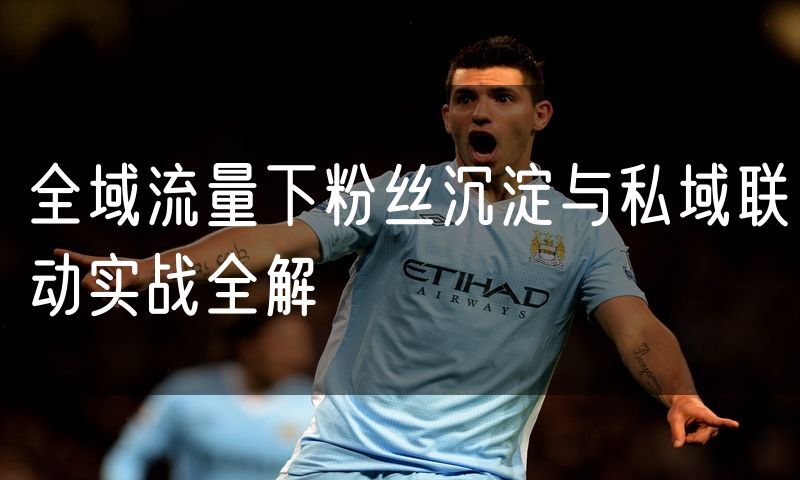 全域流量下粉丝沉淀与私域联动实战全解
