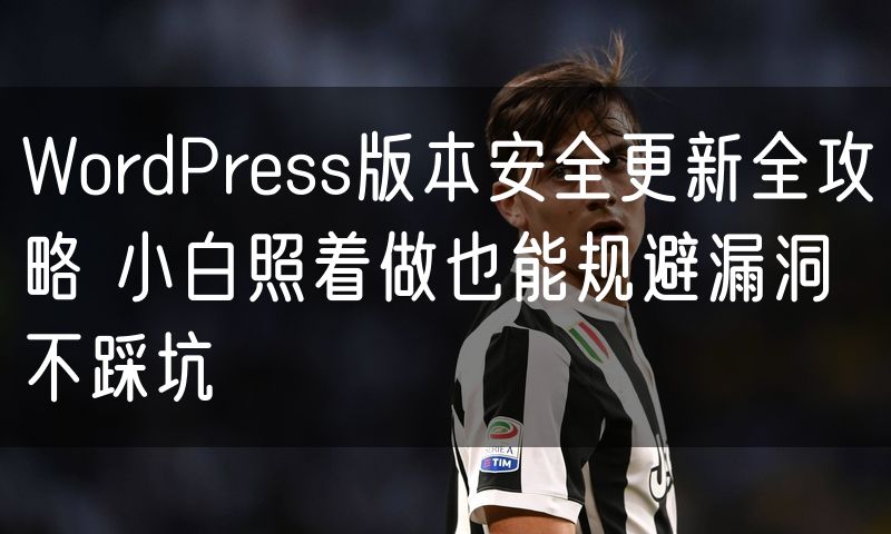 WordPress版本安全更新全攻略 小白照着做也能规避漏洞不踩坑