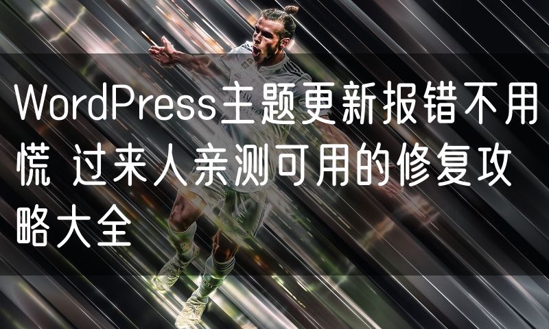 WordPress主题更新报错不用慌 过来人亲测可用的修复攻略大全
