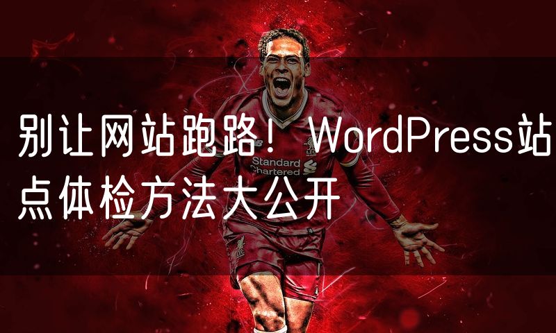 别让网站跑路!WordPress站点体检方法大公开