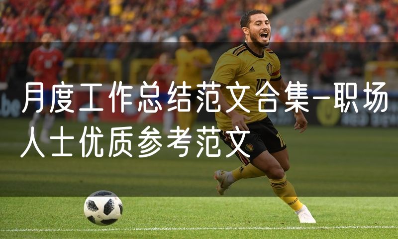 月度工作总结范文合集-职场人士优质参考范文