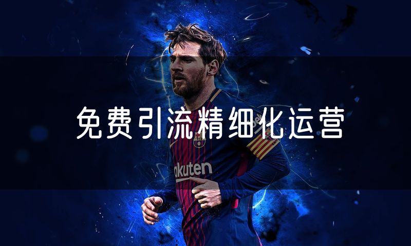免费引流精细化运营