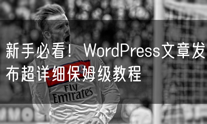 新手必看!WordPress文章发布超详细保姆级教程