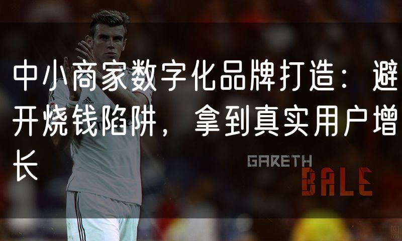 中小商家数字化品牌打造:避开烧钱陷阱,拿到真实用户增长(10)
