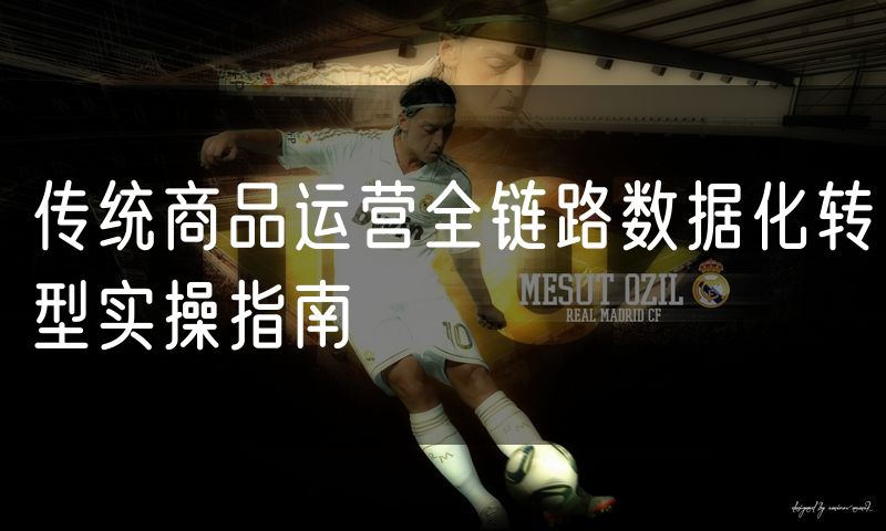 传统商品运营全链路数据化转型实操指南(9)