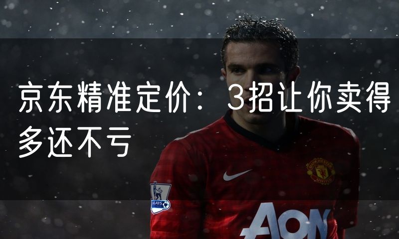 京东精准定价：3招让你卖得多还不亏