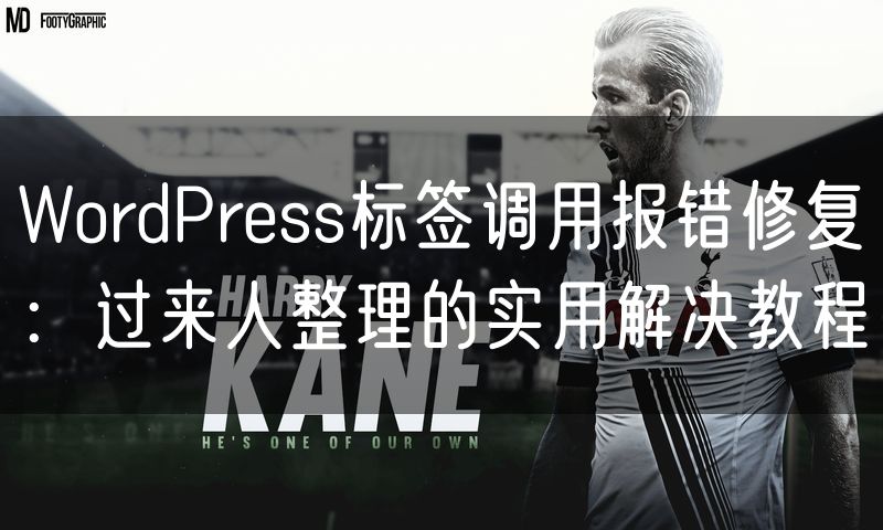WordPress标签调用报错修复：过来人整理的实用解决教程
