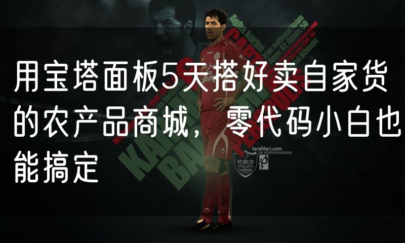 用宝塔面板5天搭好卖自家货的农产品商城，零代码小白也能搞定