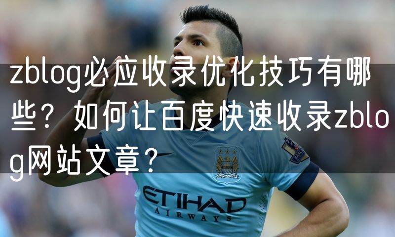 zblog必应收录优化技巧有哪些?如何让百度快速收录zblog网站文章?
