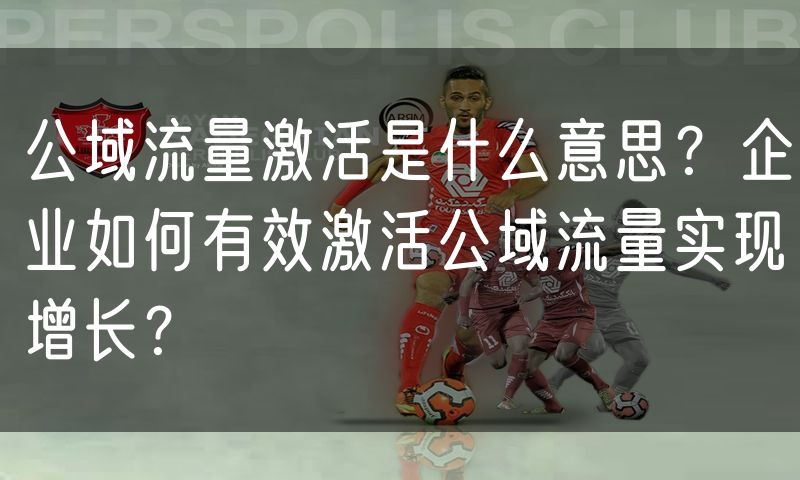 公域流量激活是什么意思？企业如何有效激活公域流量实现增长？