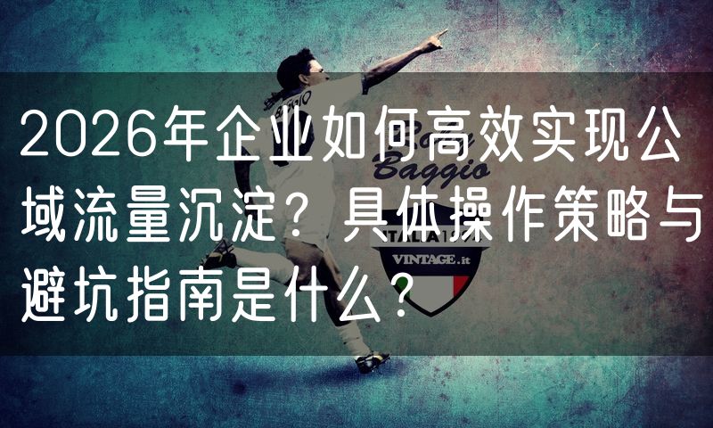 2026年企业如何高效实现公域流量沉淀？具体操作策略与避坑指南是什么？