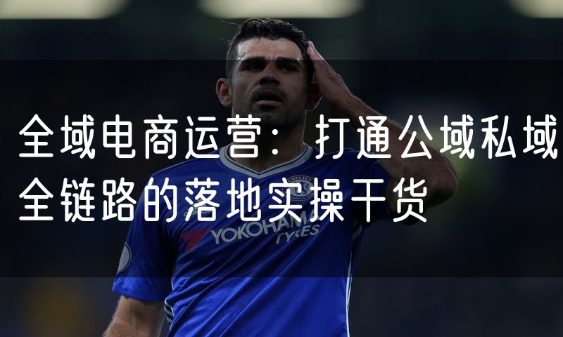 全域电商运营:打通公域私域全链路的落地实操干货