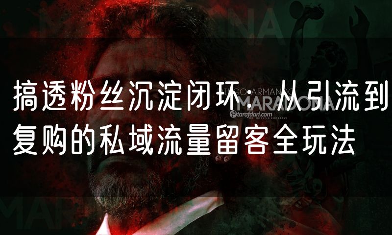搞透粉丝沉淀闭环:从引流到复购的私域流量留客全玩法