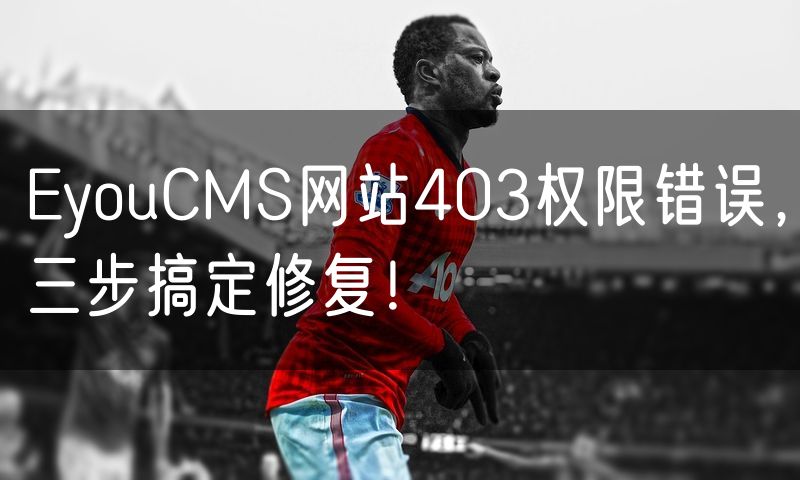 EyouCMS网站403权限错误，三步搞定修复！(12)