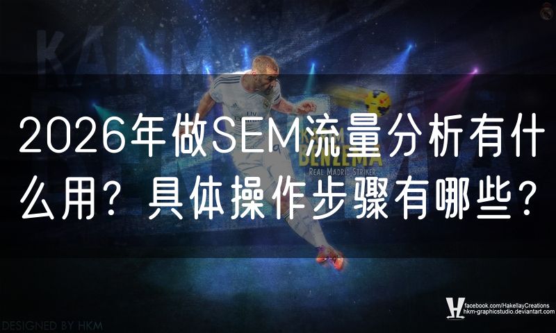 2026年做SEM流量分析有什么用？具体操作步骤有哪些？(0)
