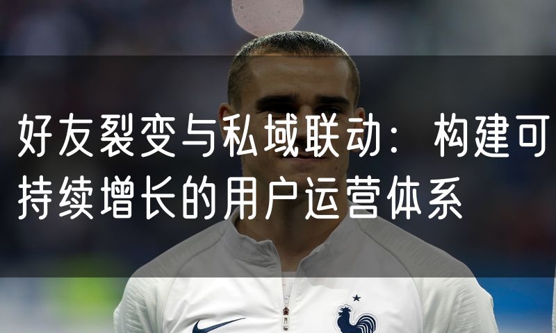 好友裂变与私域联动：构建可持续增长的用户运营体系