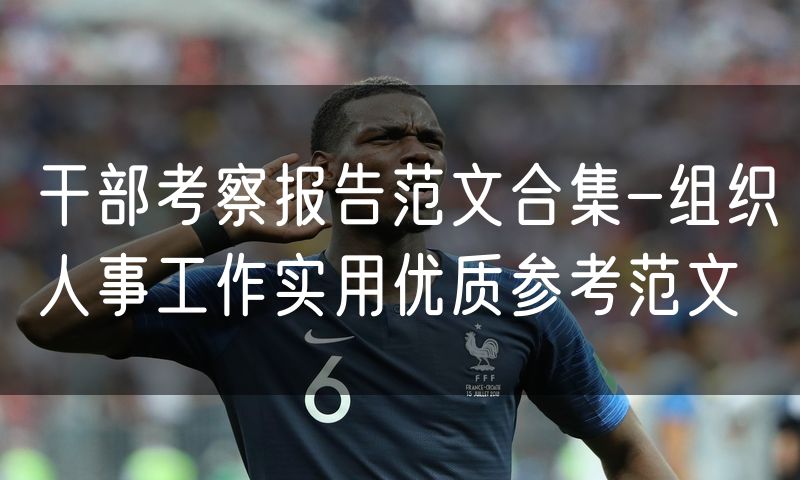 干部考察报告范文合集-组织人事工作实用优质参考范文