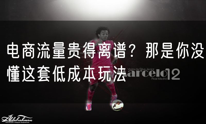 电商流量贵得离谱?那是你没懂这套低成本玩法