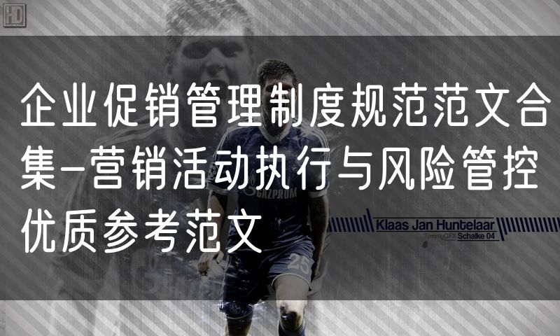 企业促销管理制度规范范文合集-营销活动执行与风险管控优质参考范文