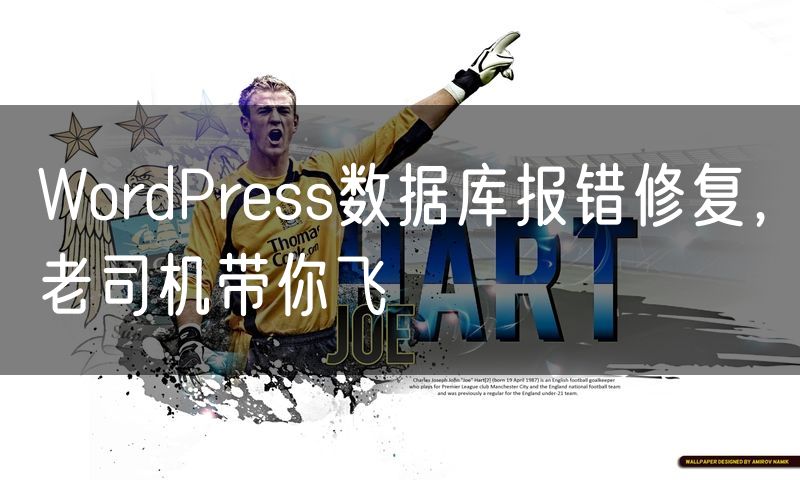 WordPress数据库报错修复,老司机带你飞