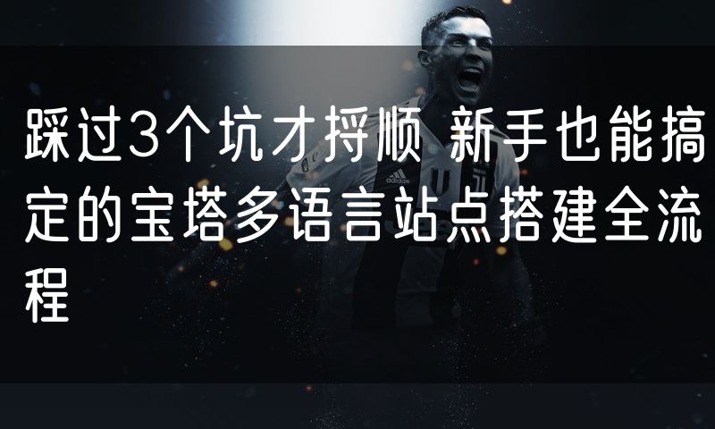 踩过3个坑才捋顺 新手也能搞定的宝塔多语言站点搭建全流程