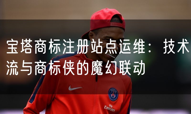 宝塔商标注册站点运维:技术流与商标侠的魔幻联动