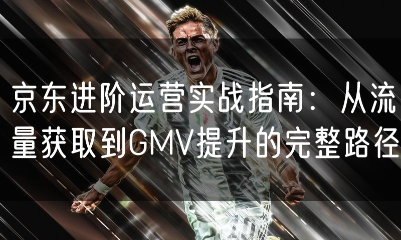 京东进阶运营实战指南:从流量获取到GMV提升的完整路径