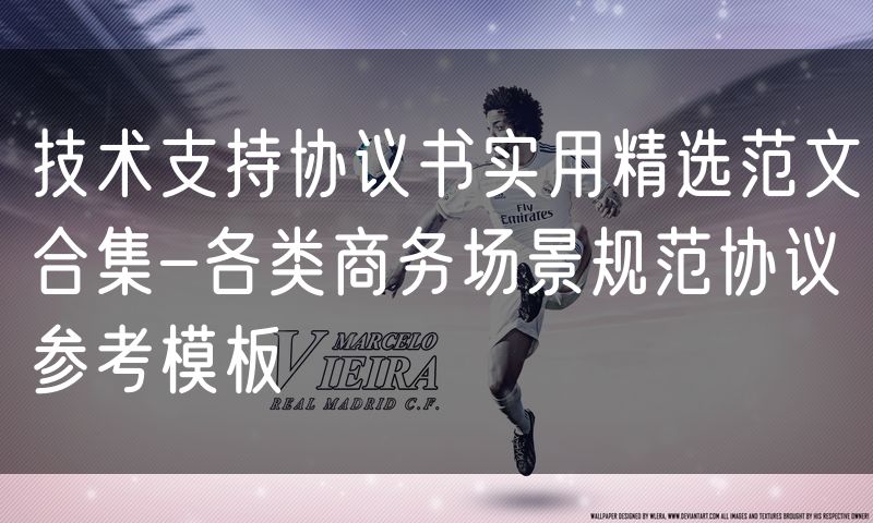 技术支持协议书实用精选范文合集-各类商务场景规范协议参考模板