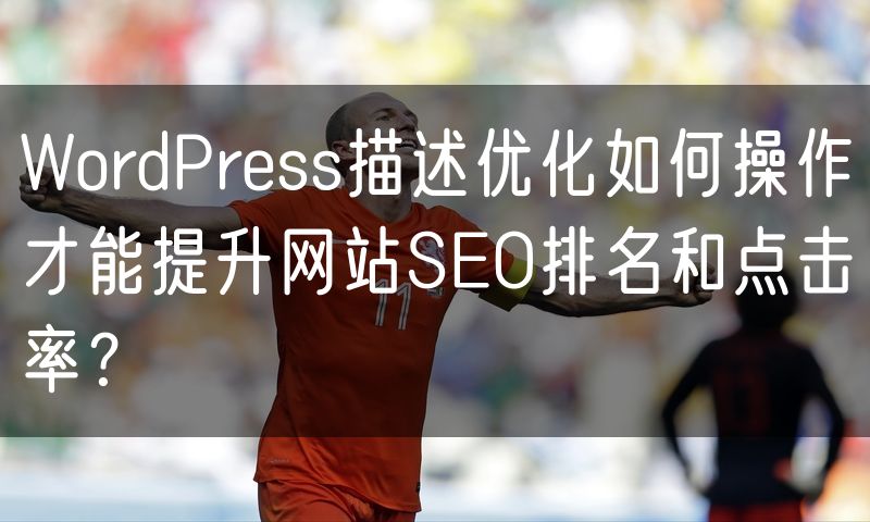 WordPress描述优化如何操作才能提升网站SEO排名和点击率?