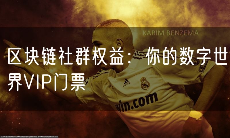 区块链社群权益:你的数字世界VIP门票