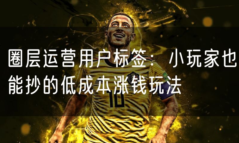 圈层运营用户标签:小玩家也能抄的低成本涨钱玩法