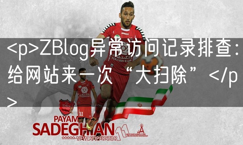 <p>ZBlog异常访问记录排查：给网站来一次“大扫除”</p>