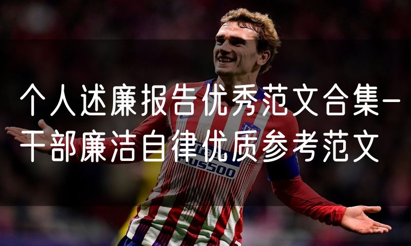 个人述廉报告优秀范文合集-干部廉洁自律优质参考范文