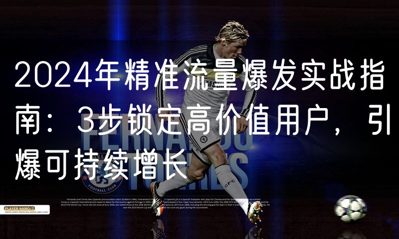 2024年精准流量爆发实战指南：3步锁定高价值用户，引爆可持续增长