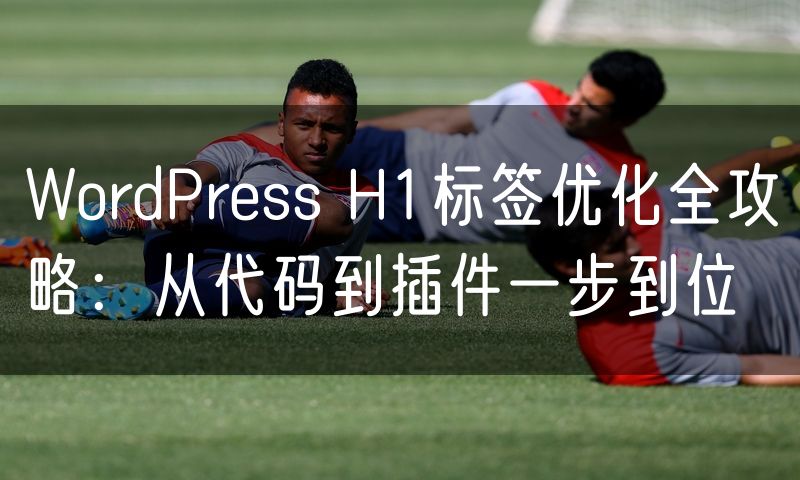 WordPress H1标签优化全攻略：从代码到插件一步到位