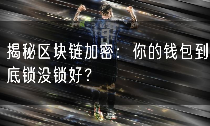 揭秘区块链加密：你的钱包到底锁没锁好？