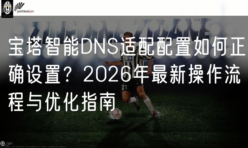 宝塔智能DNS适配配置如何正确设置？2026年最新操作流程与优化指南