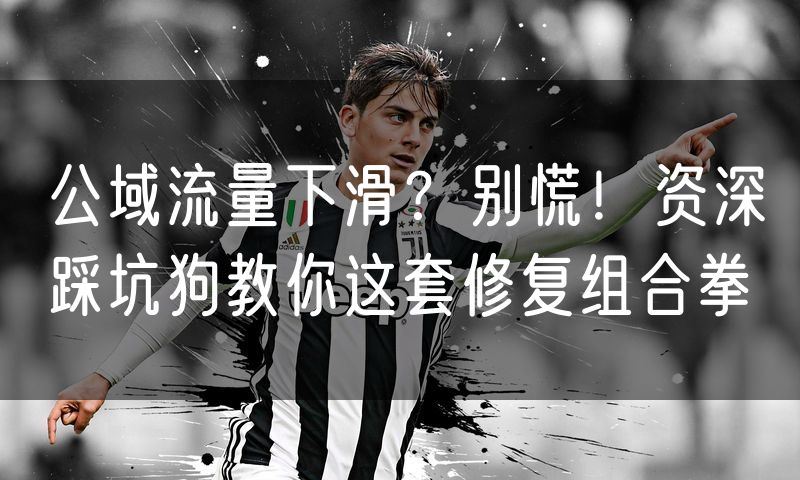 公域流量下滑？别慌！资深踩坑狗教你这套修复组合拳