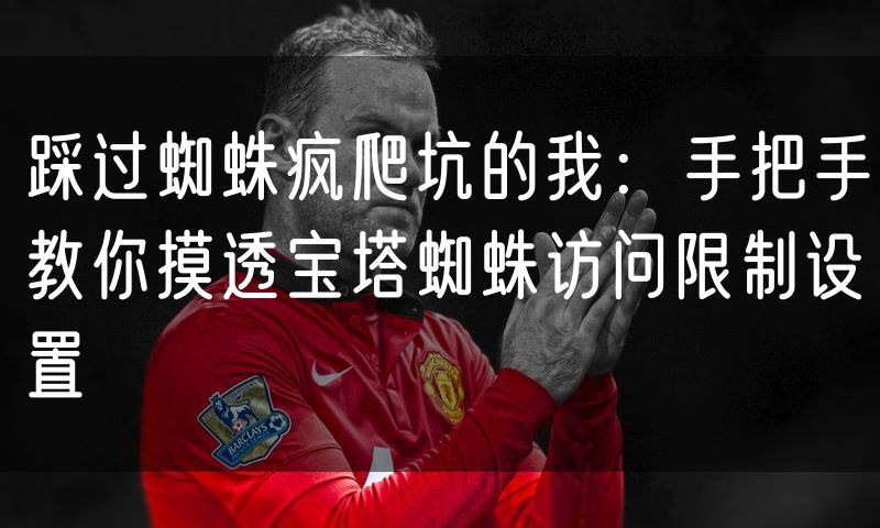 踩过蜘蛛疯爬坑的我：手把手教你摸透宝塔蜘蛛访问限制设置