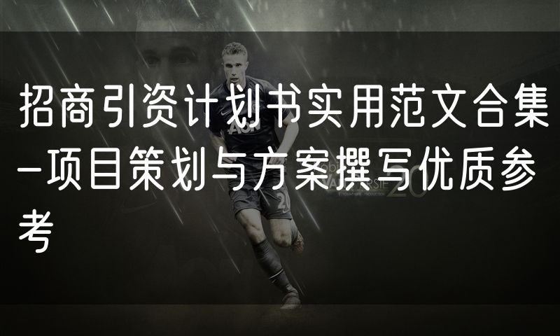 招商引资计划书实用范文合集-项目策划与方案撰写优质参考