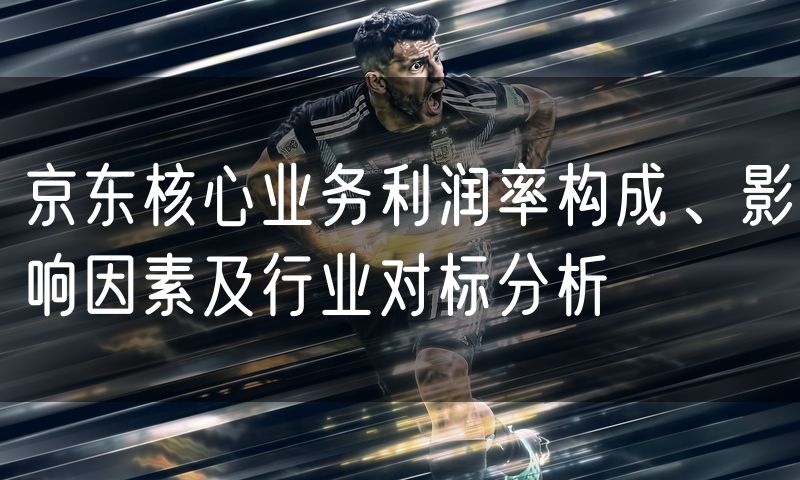 京东核心业务利润率构成、影响因素及行业对标分析