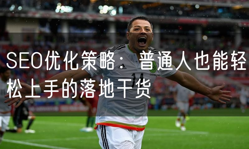 SEO优化策略:普通人也能轻松上手的落地干货(3)