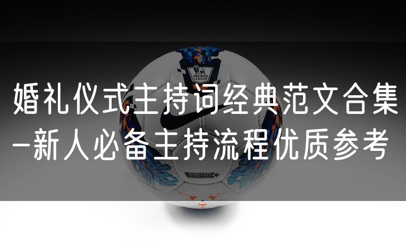 婚礼仪式主持词经典范文合集-新人必备主持流程优质参考