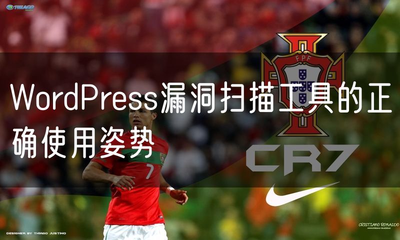 WordPress漏洞扫描工具的正确使用姿势