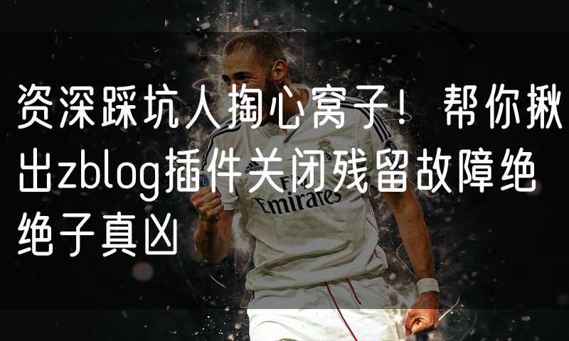 资深踩坑人掏心窝子！帮你揪出zblog插件关闭残留故障绝绝子真凶